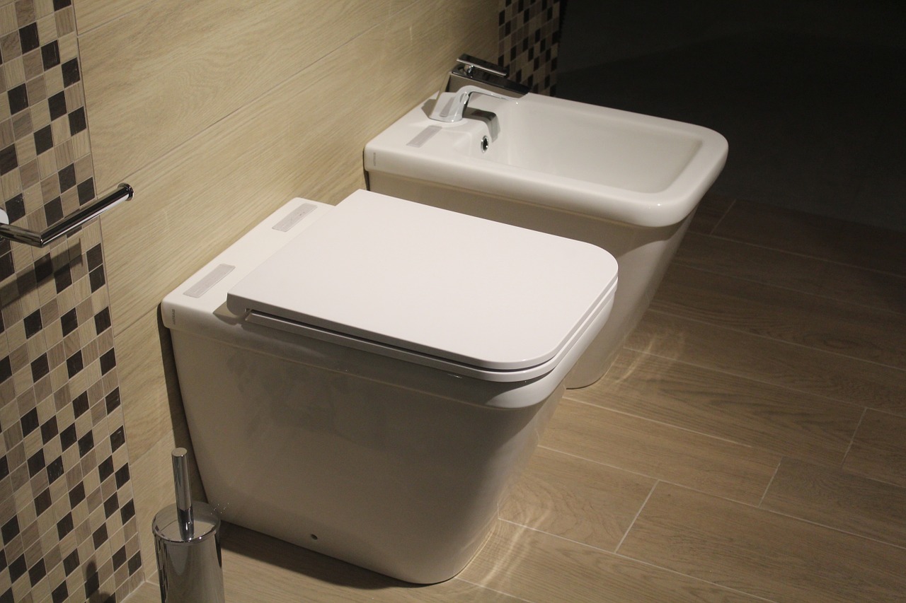 verschil tussen bidet wc douche wc | Sanispecials.nl