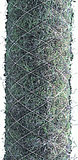 Drainage-/infiltratiebuis